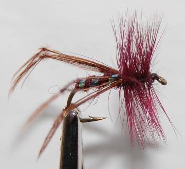 Hopper`s