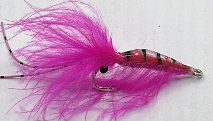 Epoxy Shrimp Hot pink