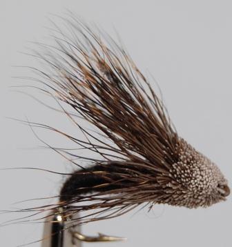 Streaking Caddis