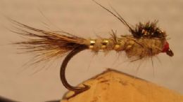 Gold rib Hares Ear 2stk