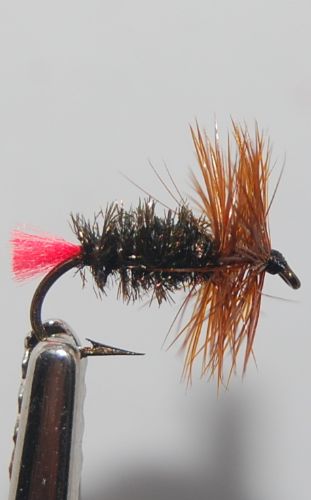 Red tag tiny tail